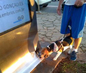 Equipamento que fornece água quente e gelada de forma gratuita já está instalado em Bento Gonçalves