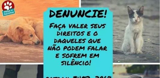 Denuncie maus tratados de animais