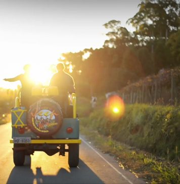 Rota turística de Veranópolis conduz visitantes pelas origens do cultivo da maçã no Brasil