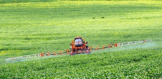 Glifosato: decisão da justiça americana associa agrotóxico liberado no Brasil a câncer