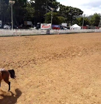 16º Rodeio Crioulo Nacional de Flores da Cunha acontece em abril