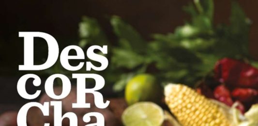 Chile destaca-se na nova edição do maior guia de vinhos da America Latina