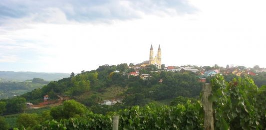 Dia do Vinho Brasileiro será lançado, hoje, em Monte Belo do Sul