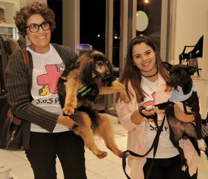 Brechique reúne influenciadoras em prol da causa animal em Caxias do Sul