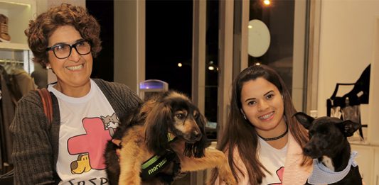 Brechique reúne influenciadoras em prol da causa animal em Caxias do Sul