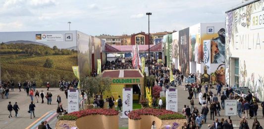 Wine South America intensifica divulgação internacional para atrair importadores