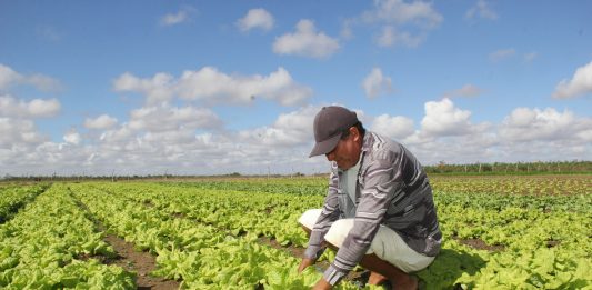 Supermercadistas e produtores se encontram em Farroupilha nesta terça-feira