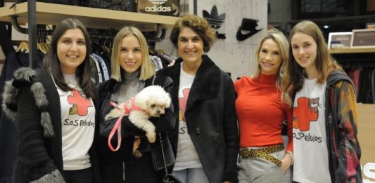 Segunda edição do Brechique arrecada R$ 6,4 mil em prol dos animais
