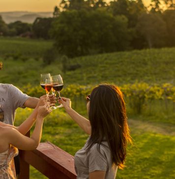 Venda de vinhos e ocupação hoteleira crescem durante o Dia do Vinho Brasileiro