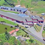 Fante Bebidas é responsável por 70% de todo vinho engarrafado exportado no Estado