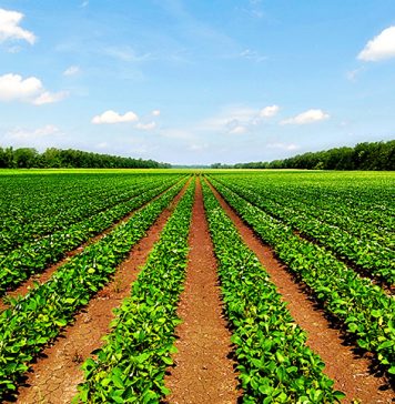 4º Seminário Internacional de Fruticultura ocorre em Vacaria