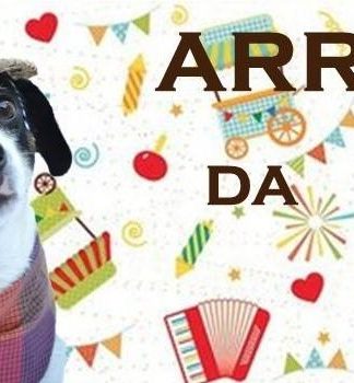 Festa Julina da Ong Patas e Focinhos é neste sábado em Bento Gonçalves