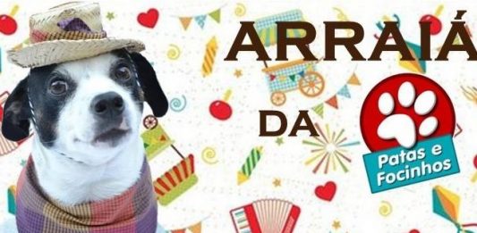 Festa Julina da Ong Patas e Focinhos é neste sábado em Bento Gonçalves
