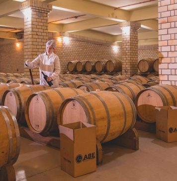Avaliação Nacional de Vinhos: Amostras são coletadas em oito regiões produtoras do Brasil