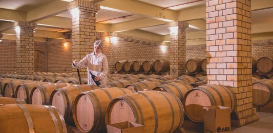 Avaliação Nacional de Vinhos: Amostras são coletadas em oito regiões produtoras do Brasil