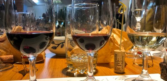 Evento Nacional de Confrarias do Vinho deve reunir centenas de pessoas em Bento Gonçalves