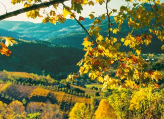 5 coisas para fazer no inverno da Serra Gaúcha