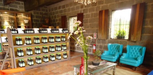 A cultura do vinho mais próxima do consumidor