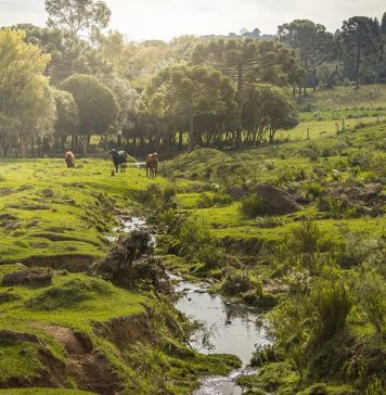 Concurso Fotográfico Turístico de Caxias do Sul inicia em setembro