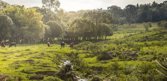 Concurso Fotográfico Turístico de Caxias do Sul inicia em setembro