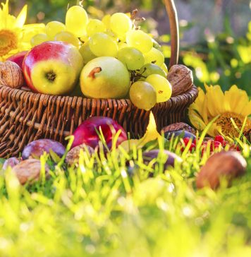 Como se proteger dos alimentos contaminados por agrotóxicos?