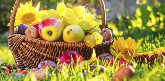 Como se proteger dos alimentos contaminados por agrotóxicos?