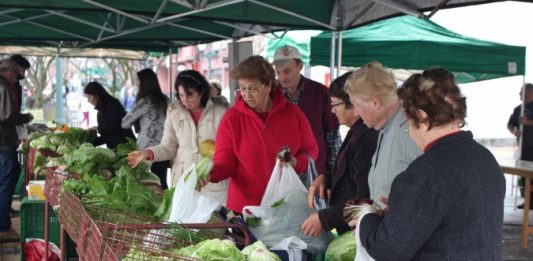 Feira de Produtos Coloniais será mensalmente na Via Del Vino em Bento Gonçalves
