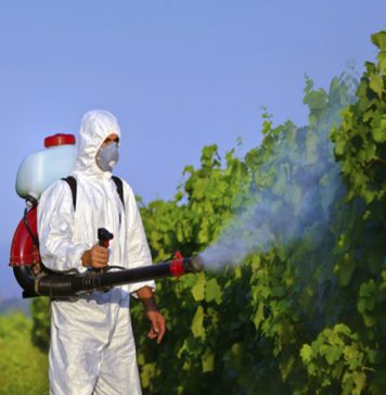 O uso de agrotóxicos será tema de painel nesta terça-feira em Bento Gonçalves