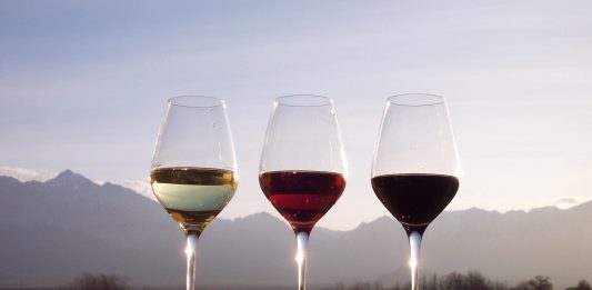 Bebo água com ou sem gás junto com o vinho?