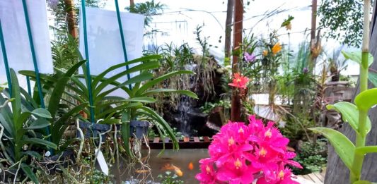 Empreendimentos turísticos de Caxias do Sul aproveitam a primavera para divulgar atrações