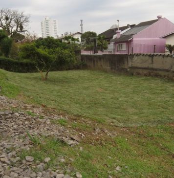 Áreas próximas aos trilhos da Maria Fumaça são revitalizadas em Bento Gonçalves