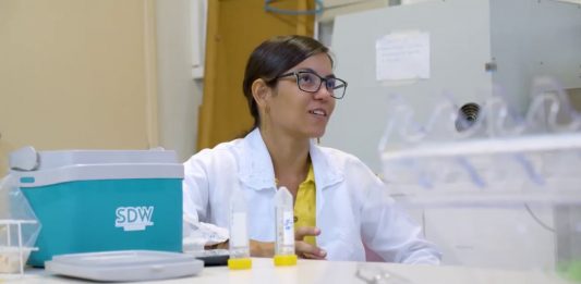 Brasileira de 21 anos vence prêmio global da ONU com solução solar para purificar água