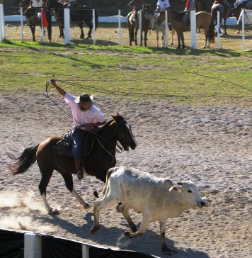 27º Rodeio Crioulo Estadual será de 07 a 10 de novembro em Garibaldi