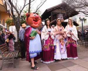 Fenavinho e ExpoBento apresentam novidades no Festuris