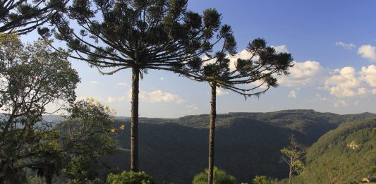 Serra Gaúcha ganhará documentário Turismo de Cinema