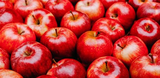 Conheça cinco alimentos para melhorar a saúde do seu fígado