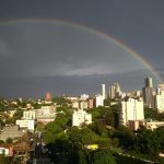 Novo Hamburgo em destaque