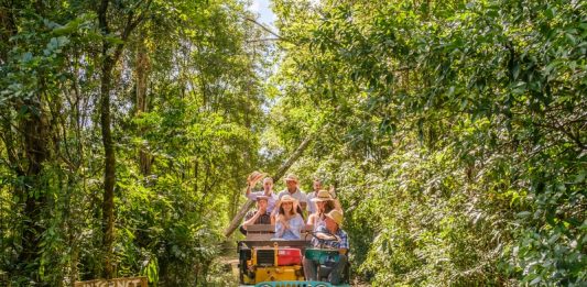 Verão é tempo de festejar a colheita da uva com a temporada da Vindima