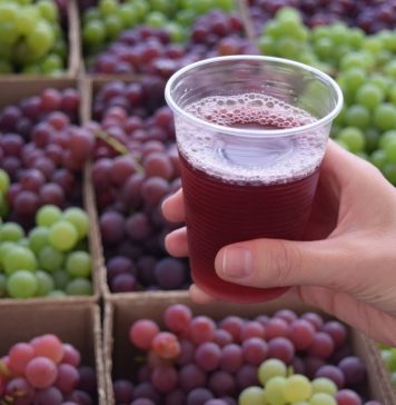 Vinho doce: um resgate às origens em tempo de vindima