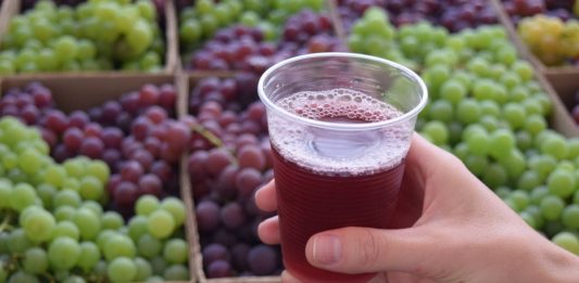 Vinho doce: um resgate às origens em tempo de vindima