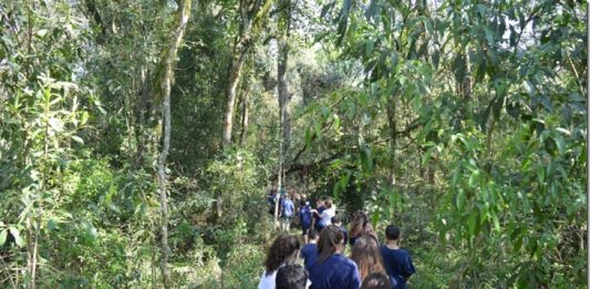 Trilha ecológica poderá ser realizada pelos visitantes da FenaVindima