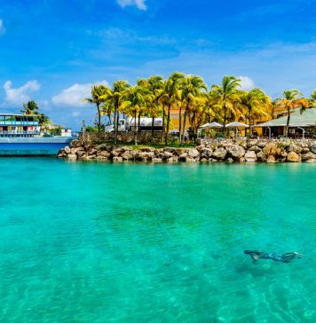 Espumante Se Joga em Curaçao impulsiona vendas e reforça marca da Aurora