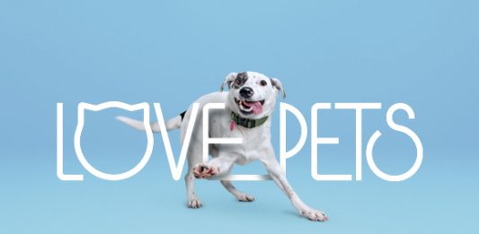 O love pets está de volta a Porto Alegre