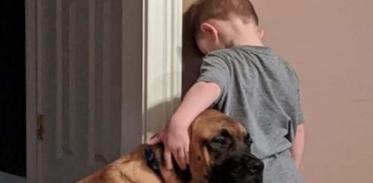 Mãe dá castigo para filho e cachorro acompanha na punição