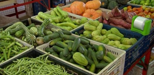 Feiras livres retornam com adoção de medidas preventivas em Bento Gonçalves