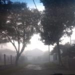 O outono chegou trazendo frio