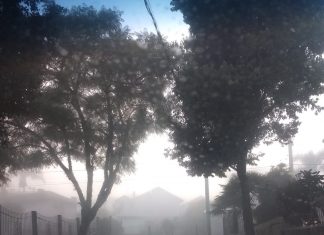 O outono chegou trazendo frio