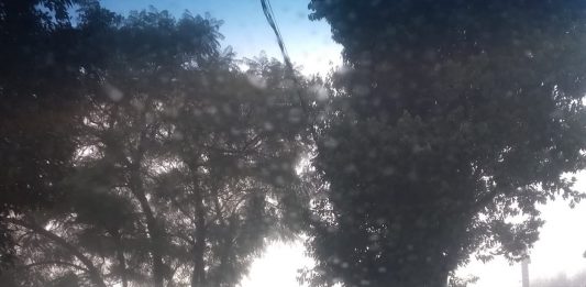 O outono chegou trazendo frio