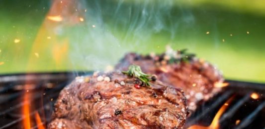 Peixe, carne e cereais ajudam na recuperação contra covid-19 diz estudo
