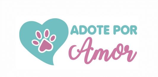 Adote por Amor: em um mês de campanha, mais de 40 animais foram adotados
